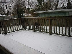 img_4501.jpg