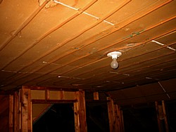 img_3956.jpg