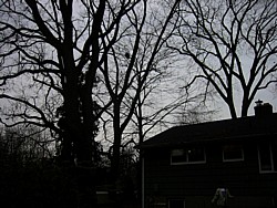 img_4130.jpg