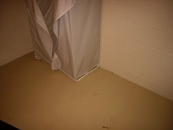 img_4136.jpg