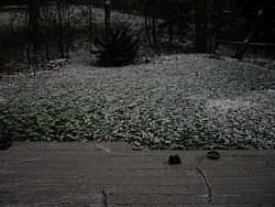 img_4189.jpg