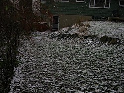 img_4192.jpg