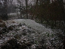 img_4194.jpg