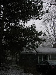 img_4199.jpg