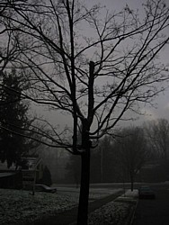 img_4200.jpg