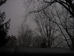 img_4201.jpg