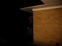 img_3921.jpg