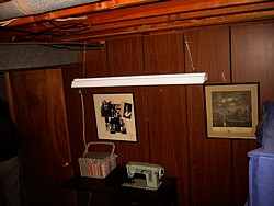 img_3979.jpg