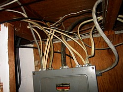 img_3981.jpg