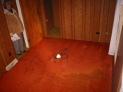 img_4694.jpg