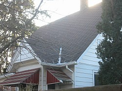 img_4726.jpg