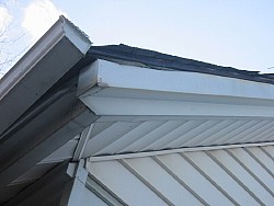 img_4728.jpg
