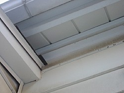 img_4729.jpg