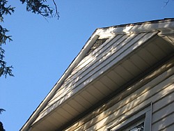 img_4732.jpg