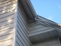 img_4733.jpg