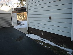 img_4738.jpg