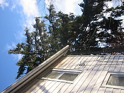 img_4739.jpg