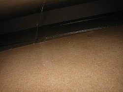 img_4742.jpg