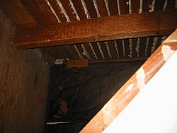 img_4745.jpg